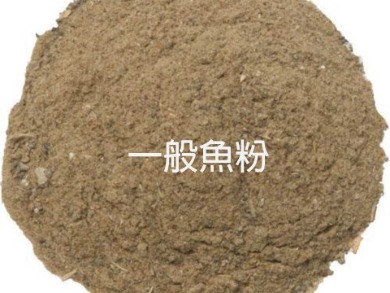EL,FISHMEAL,ELLONG,TAIWAN,STANDARDGRADE